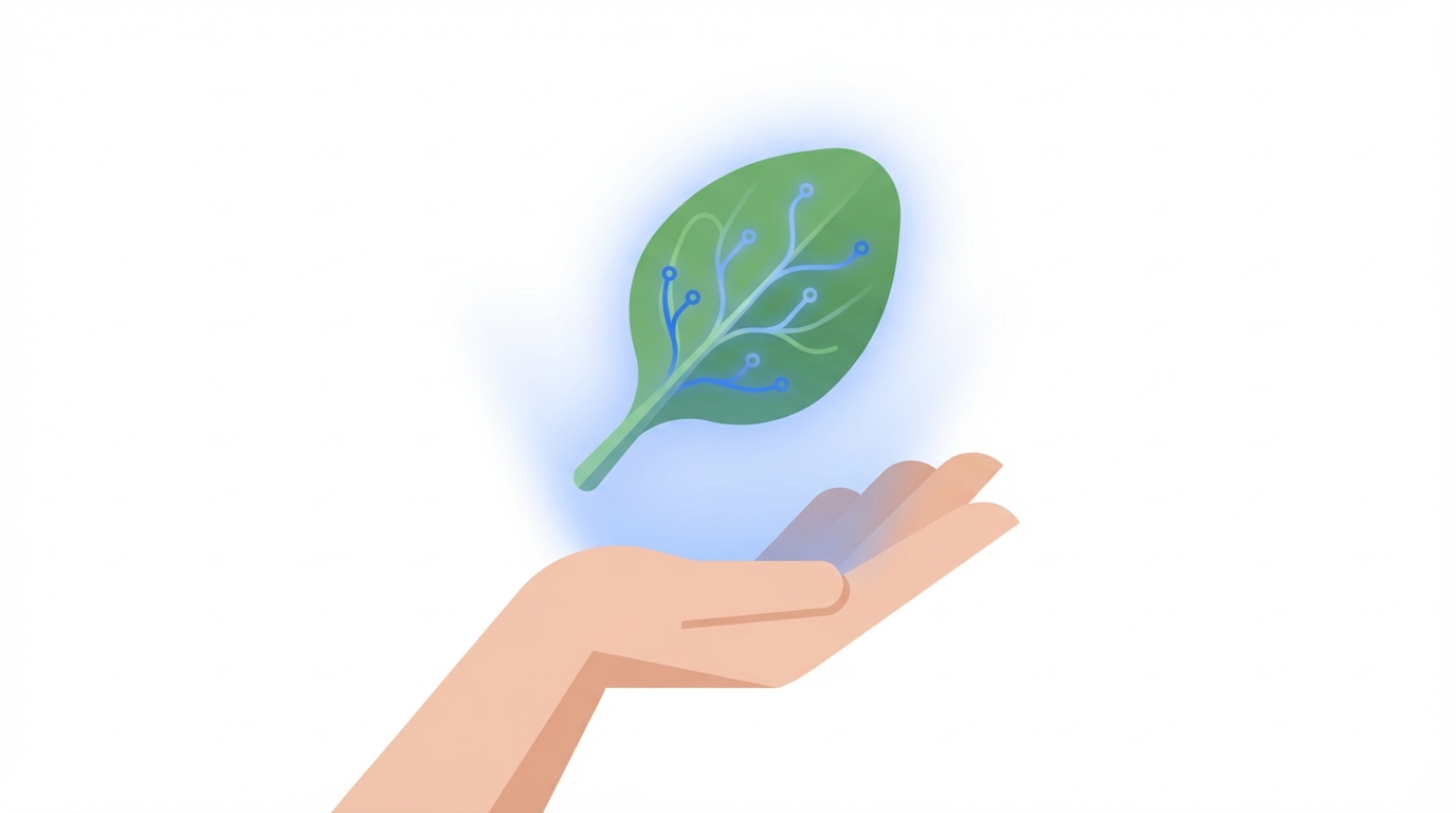 La Espinaca de Popeye